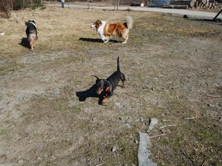 2009-04-03_ntb_5907