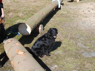2009-04-03_ntb_5912