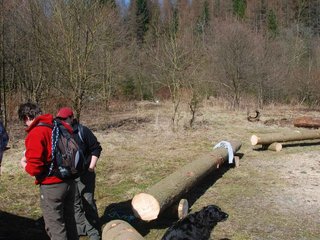 2009-04-03_ntb_5913
