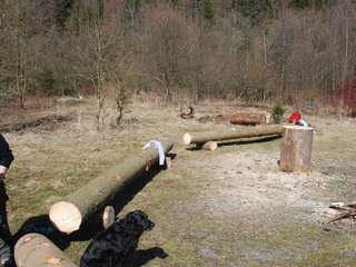 2009-04-03_ntb_5914