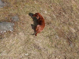 2009-04-03_ntb_5915