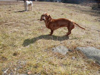 2009-04-03_ntb_5916