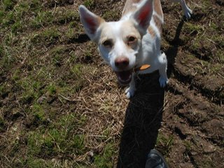 2009-04-03_ntb_5917