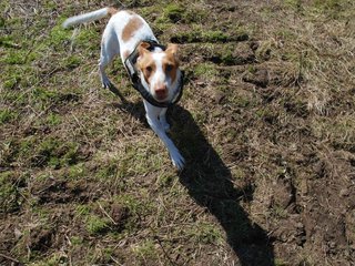 2009-04-03_ntb_5919
