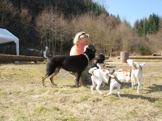2009-04-03_ntb_5920