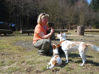 2009-04-03_ntb_5922