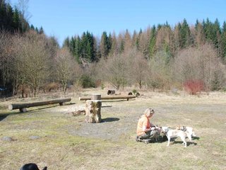 2009-04-03_ntb_5924