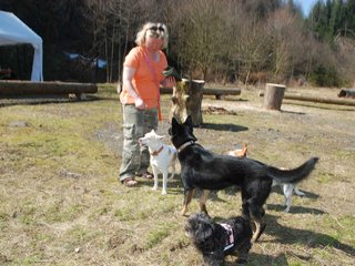 2009-04-03_ntb_5929