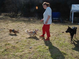 2009-04-03_ntb_5930