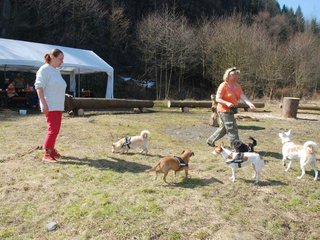 2009-04-03_ntb_5931