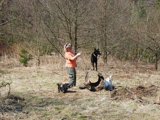 2009-04-03_ntb_5934