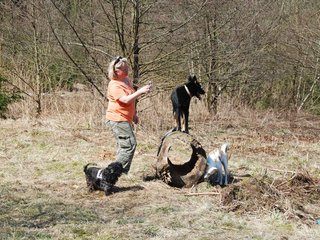 2009-04-03_ntb_5935