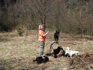 2009-04-03_ntb_5936