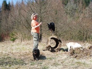 2009-04-03_ntb_5937