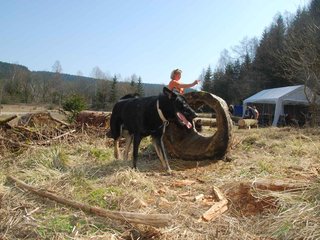 2009-04-03_ntb_5938