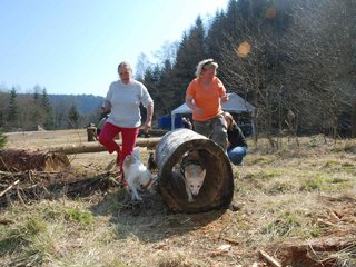 2009-04-03_ntb_5941