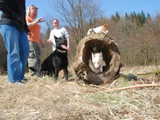 2009-04-03_ntb_5942