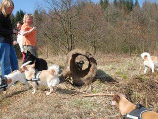 2009-04-03_ntb_5943