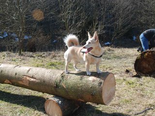 2009-04-03_ntb_5946