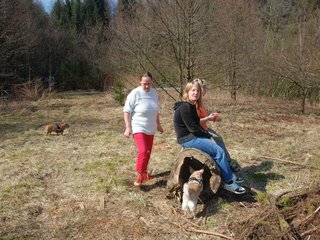 2009-04-03_ntb_5950