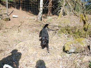 2009-04-03_ntb_5988