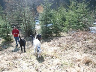 2009-04-03_ntb_5989