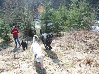 2009-04-03_ntb_5990