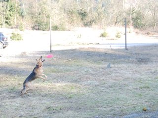 2009-04-03_ntb_5996