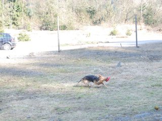 2009-04-03_ntb_5997