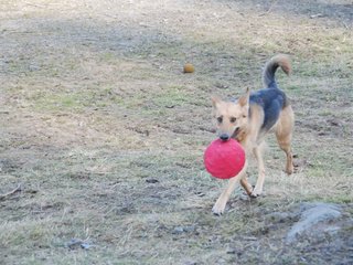 2009-04-03_ntb_5998