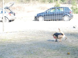 2009-04-03_ntb_5999