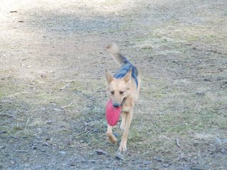 2009-04-03_ntb_6000