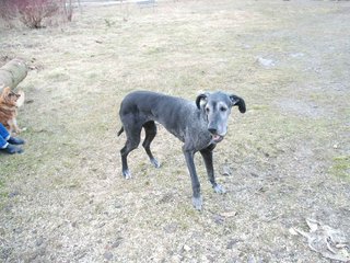 2009-04-03_ntb_6007