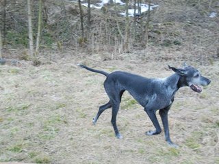 2009-04-03_ntb_6008