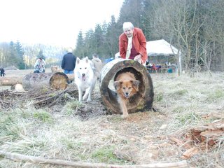 2009-04-03_ntb_6011