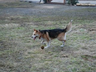 2009-04-03_ntb_6017