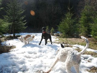 2009-04-03_ntb_5954