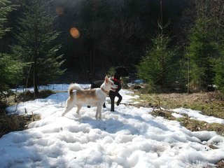 2009-04-03_ntb_5956