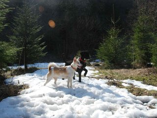 2009-04-03_ntb_5957