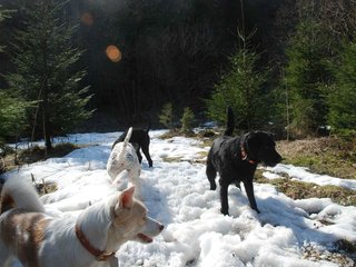 2009-04-03_ntb_5965
