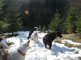 2009-04-03_ntb_5967