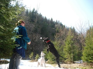 2009-04-03_ntb_5973