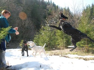 2009-04-03_ntb_5978