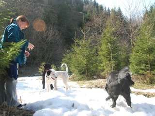2009-04-03_ntb_5979