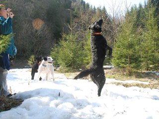 2009-04-03_ntb_5980
