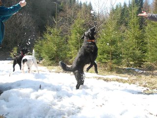 2009-04-03_ntb_5982