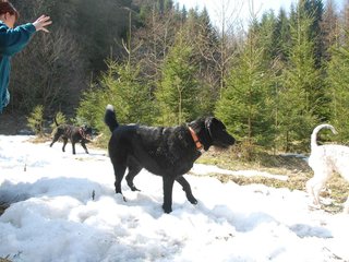 2009-04-03_ntb_5986