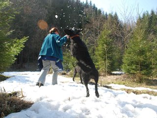 2009-04-03_ntb_5987
