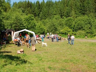 2009-05-24_ntb_1149
