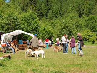 2009-05-24_ntb_1152